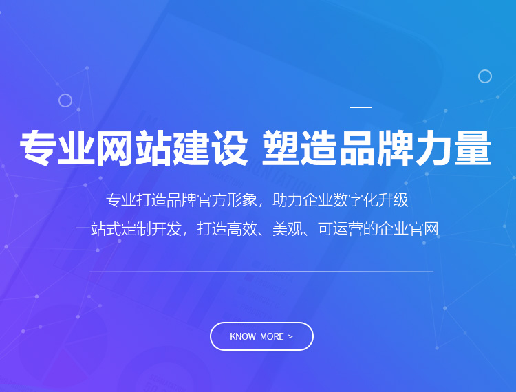 溧阳建站-专业网站建设 塑造品牌力量